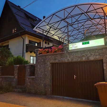 Casa Mina Hotel บุชเตนี ภายนอก รูปภาพ